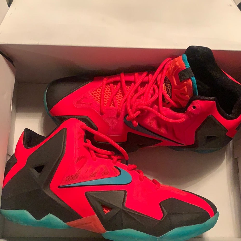Labrons 11.. worn once